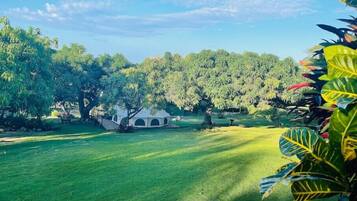 Overnatningsstedets område