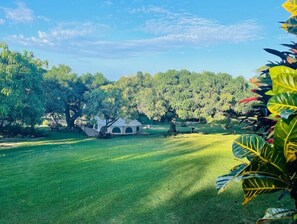 Property grounds - Tristen’s Temple (Discovery Bay)