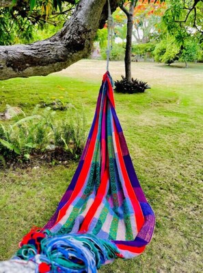 Miscellaneous - Pick a Spot- Pitch a Tent (Discovery Bay)