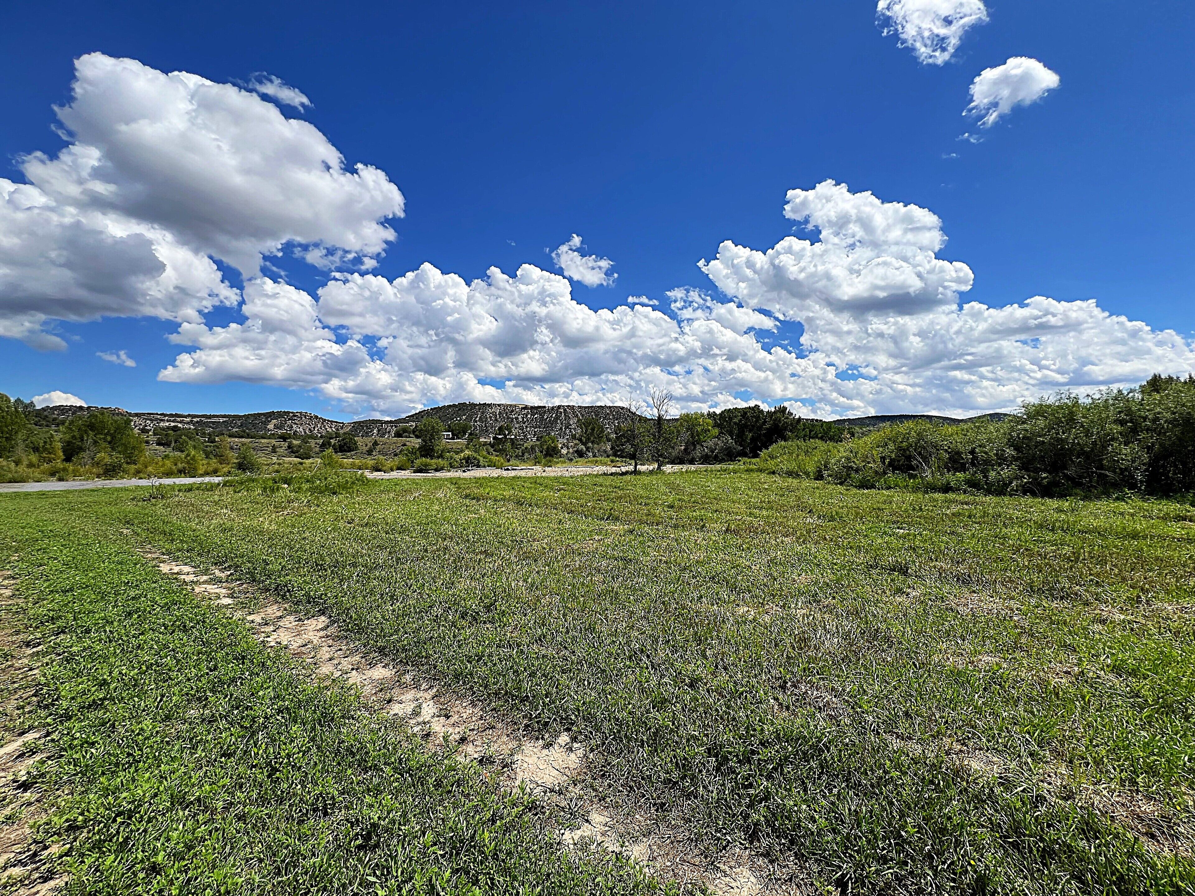 Large Area by the River - Perfect for Fishing and Picnics