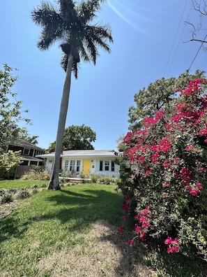 A house with a yellow door, surrounded by a well-maintained lawn and a tall palm tree.