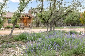 Exterior - Cedar Bliss Cabin | Rustic 1/1 | King Bed | Kitchenette, Jacuzzi for 2, Ambiance Fireplace + more (Fredericksburg)
