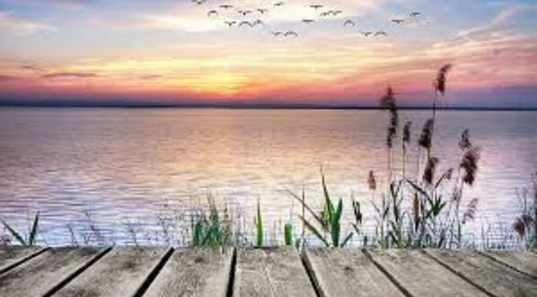 Guests can enjoy serene waterfront views from a dock.