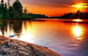 Surrounded by tranquil trees, this serene lakeside setting offers a peaceful escape.