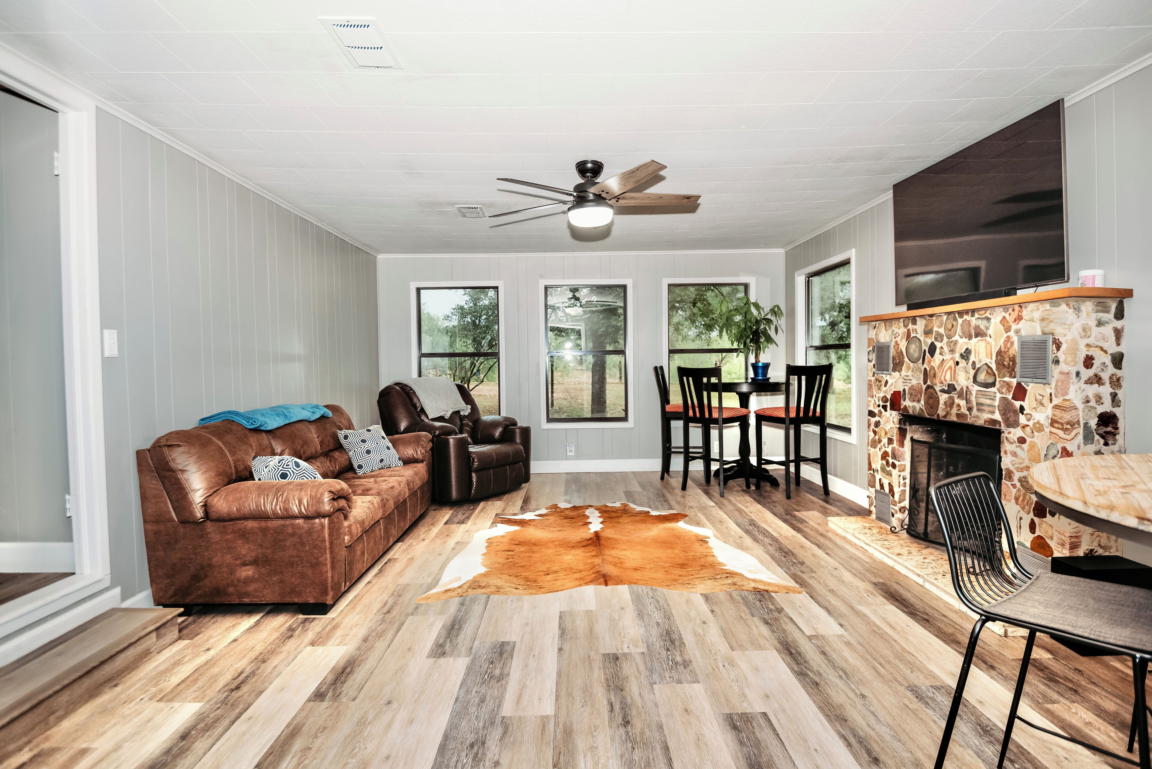 Smart TV, chimenea, reproductor de DVD y libros 