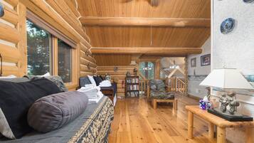 TV, DVD player, video library, stereo