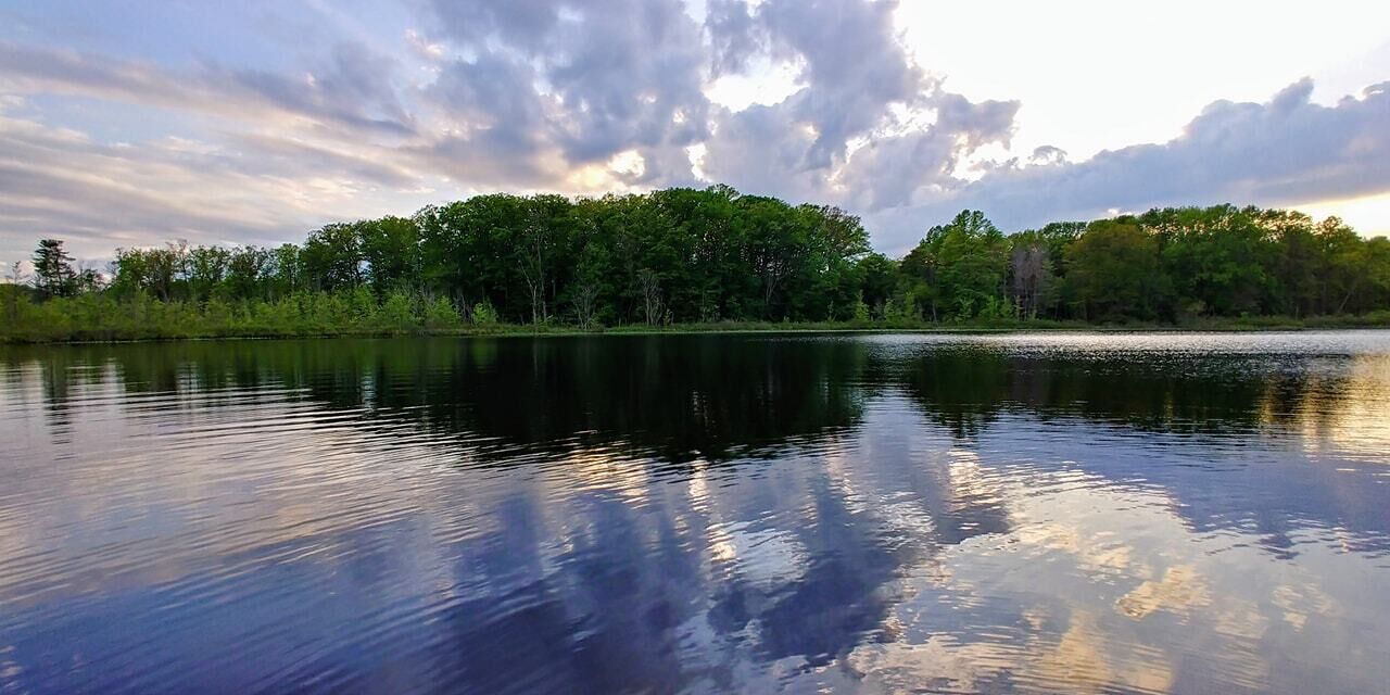 Un lago tranquilo con una orilla boscosa y un cielo nublado.