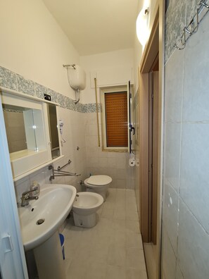 Shower, hair dryer, bidet, towels