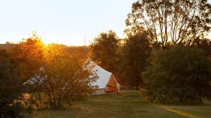 A white tent in a grassy area with trees around. - Deluxe Leaf Bell Tent (Clydesdale)