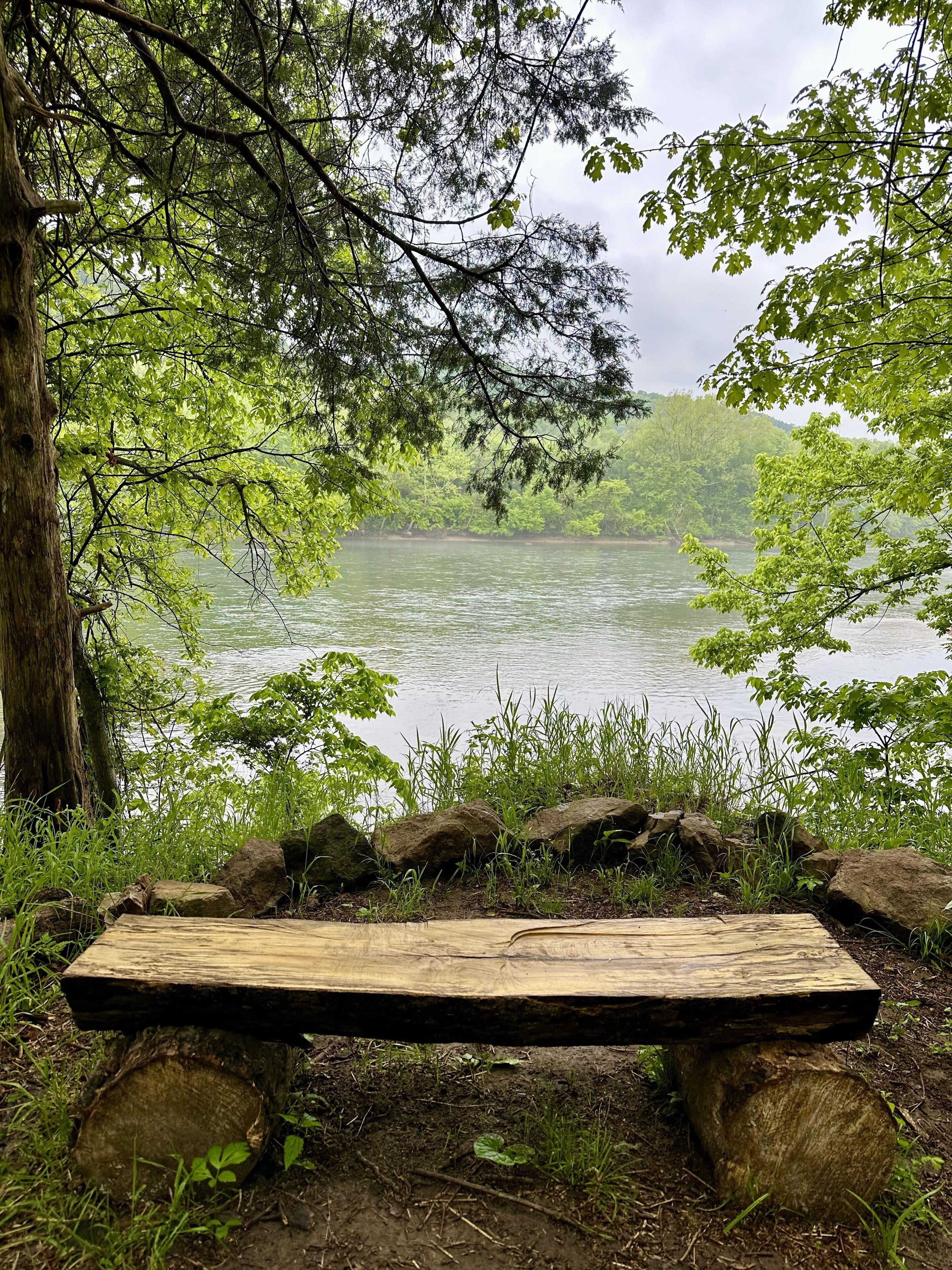 Un banco de madera con vistas a un lago rodeado de árboles.