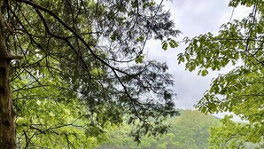 A wooden bench with a view of a lake surrounded by trees.