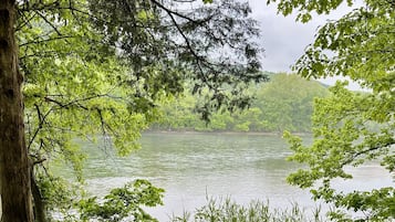 Un banco de madera con vistas a un lago rodeado de árboles.