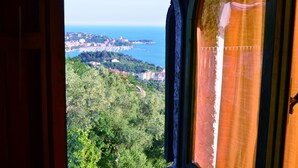 Une vue depuis une fenêtre donnant sur une ville côtière, avec ses bâtiments et sa végétation.