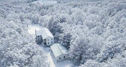 Woodland Lodge 40 acres close to Crystal Mountain