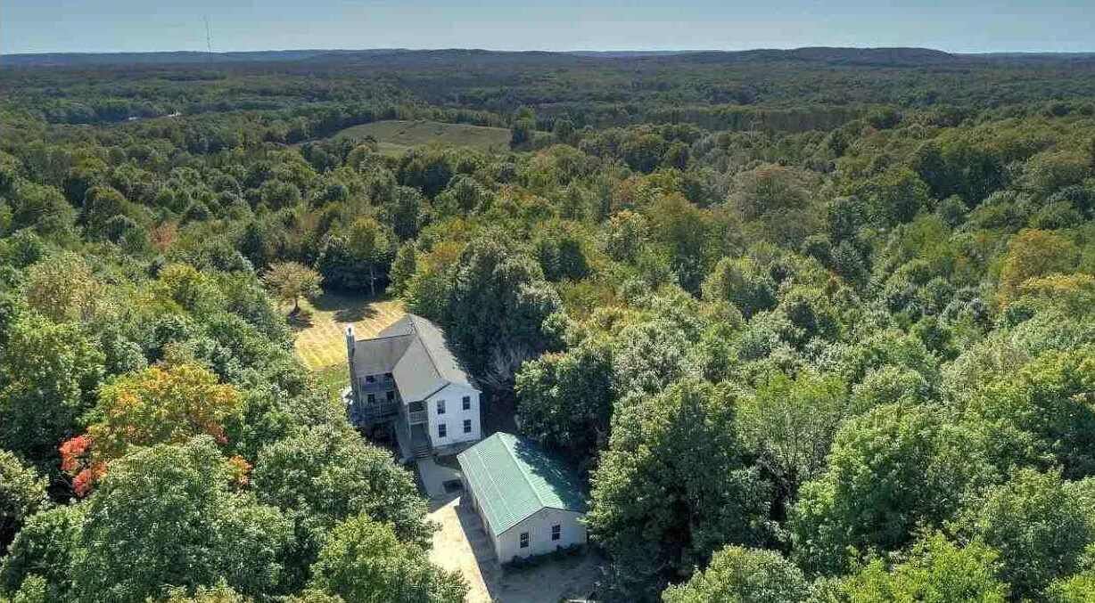 Une maison à deux étages, dotée d’un toit végétalisé et entourée d’une forêt dense.