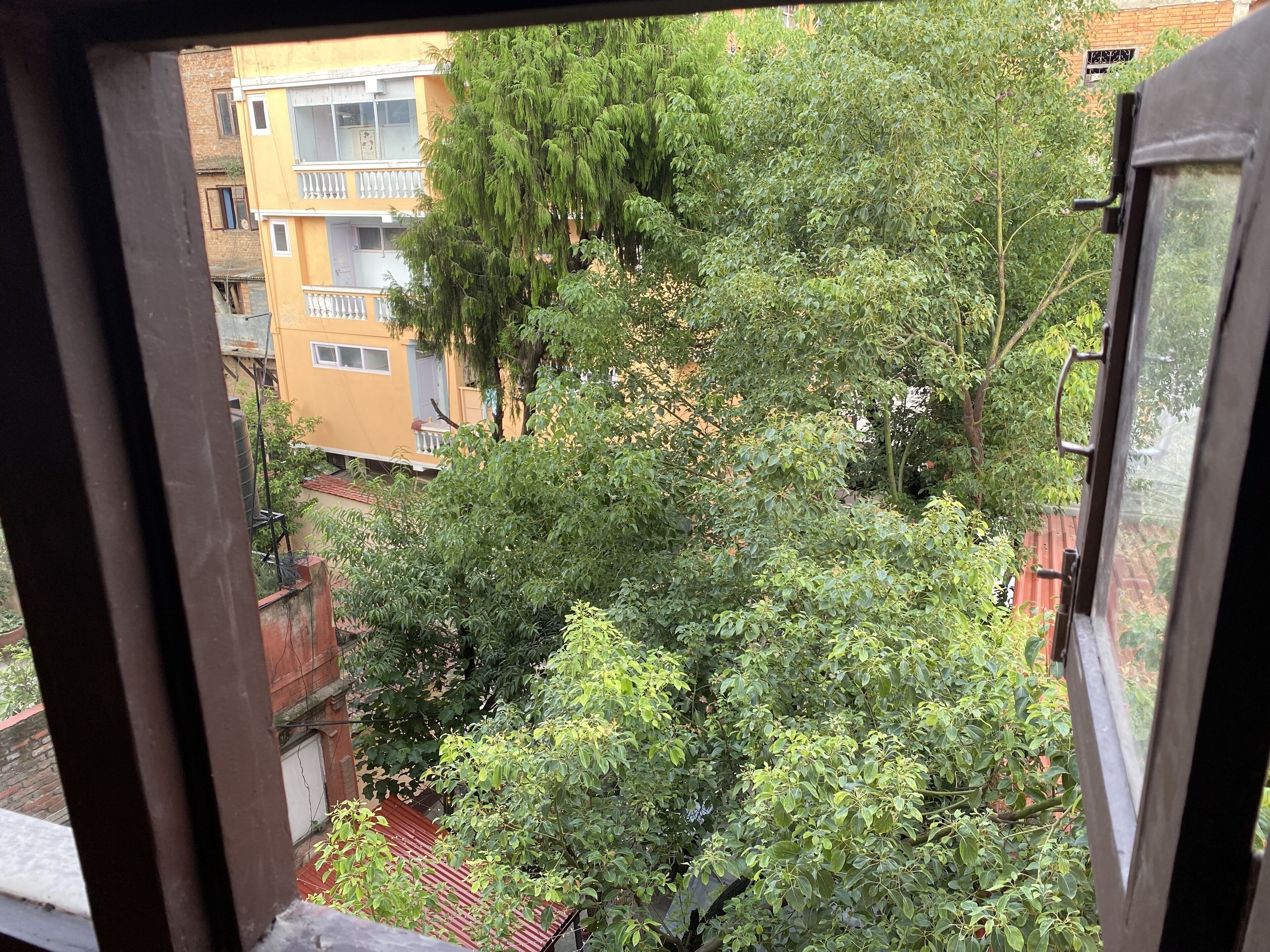 A view from a window overlooking a courtyard with trees and a yellow building.