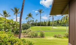 A lush tropical landscape with palm trees and a well-manicured lawn. - Aloha Condos, Kanaloa at Kona, Condo 1404, Ocean View, AC (Kailua Kona)