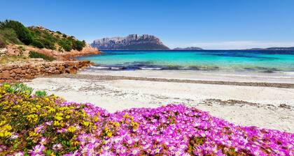 Glori House 50m from Marina di Olbia, Olbia, Italy