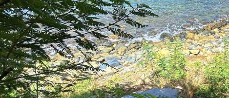Un rivage rocheux bordé d’une eau claire, entouré d’une végétation luxuriante.