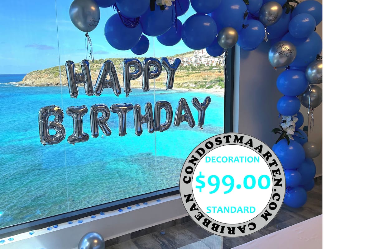 Panoramic Apartment, Ocean View | 1 bedroom, premium bedding, in-room safe, blackout drapes