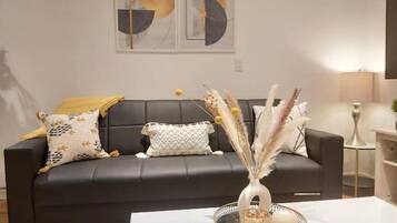 Smart TV, fireplace, books