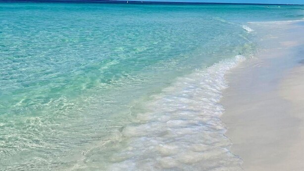 A beach with clear turquoise water and a sandy shore. - Walk to Beach & Dining, Luxury Home in Seagrove, Private Pool, Sleeps 14, Bikes (Santa Rosa Beach)