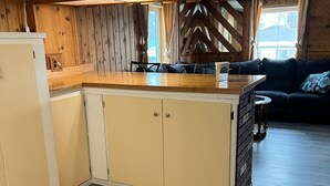 A compact kitchen with a wooden countertop and cabinets, a brick accent wall, and a view of the outdoors through a window.