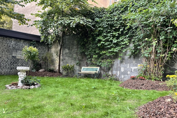 Basic Apartment | Terrace/patio