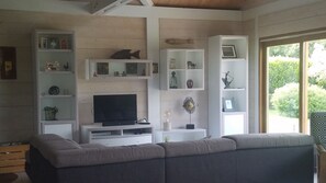 TV, fireplace, books