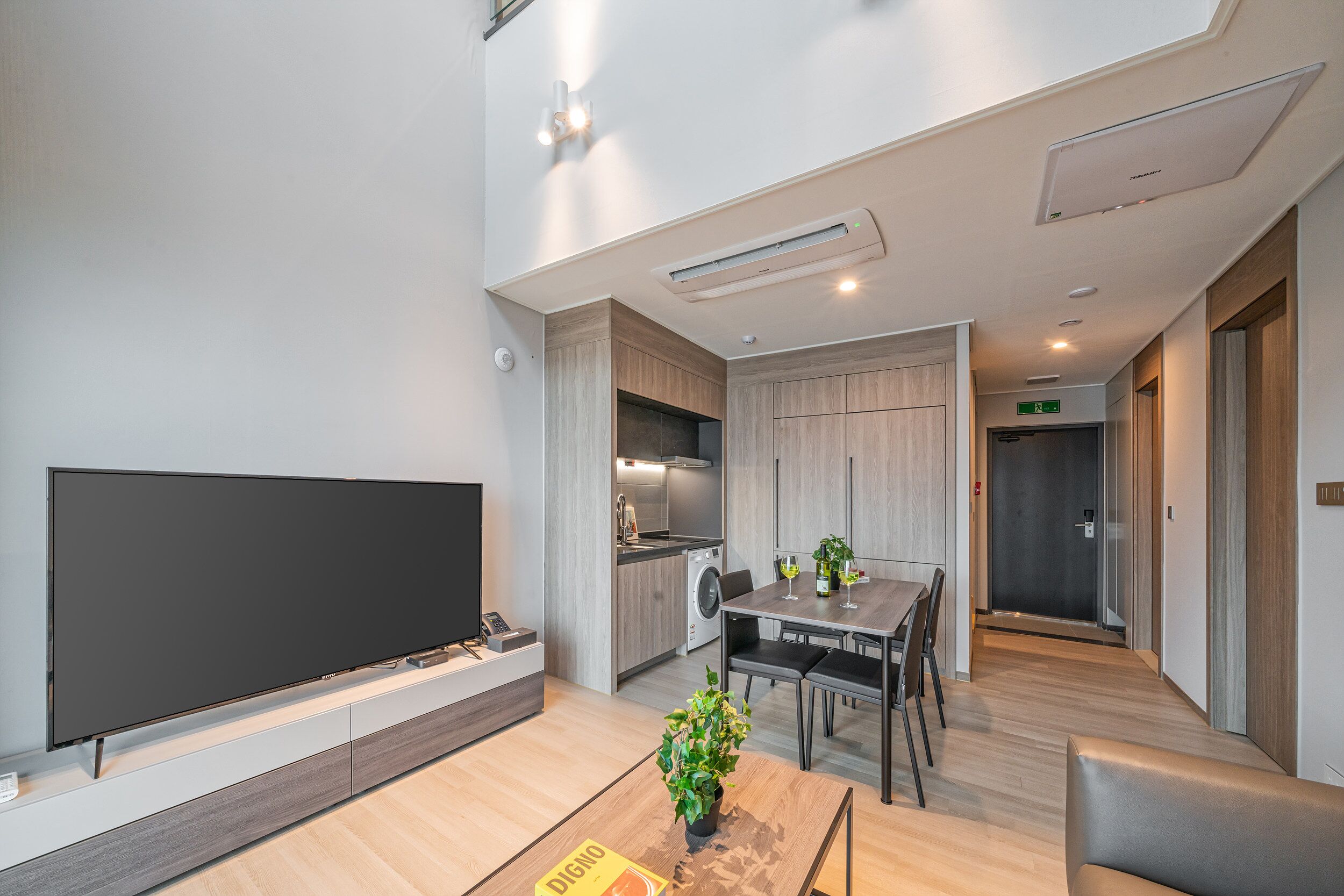 A modern living room with a flat-screen TV, a dining table with chairs, a potted plant, and a kitchen area with a washing machine.