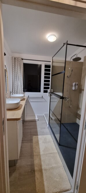 Shower, hair dryer, towels, soap
