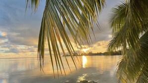 Ein Strand mit Palmen und einem Sonnenuntergang über dem Wasser.