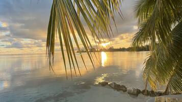 Plage, chaises longues, serviettes de plage