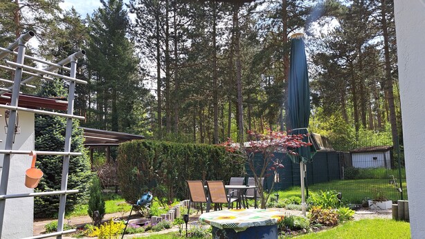 Un jardin avec un barbecue, un espace salon extérieur et un potager.