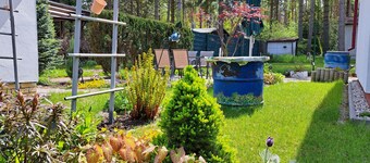 Gemütlicher Bungalow am Rand der Dübener Heide