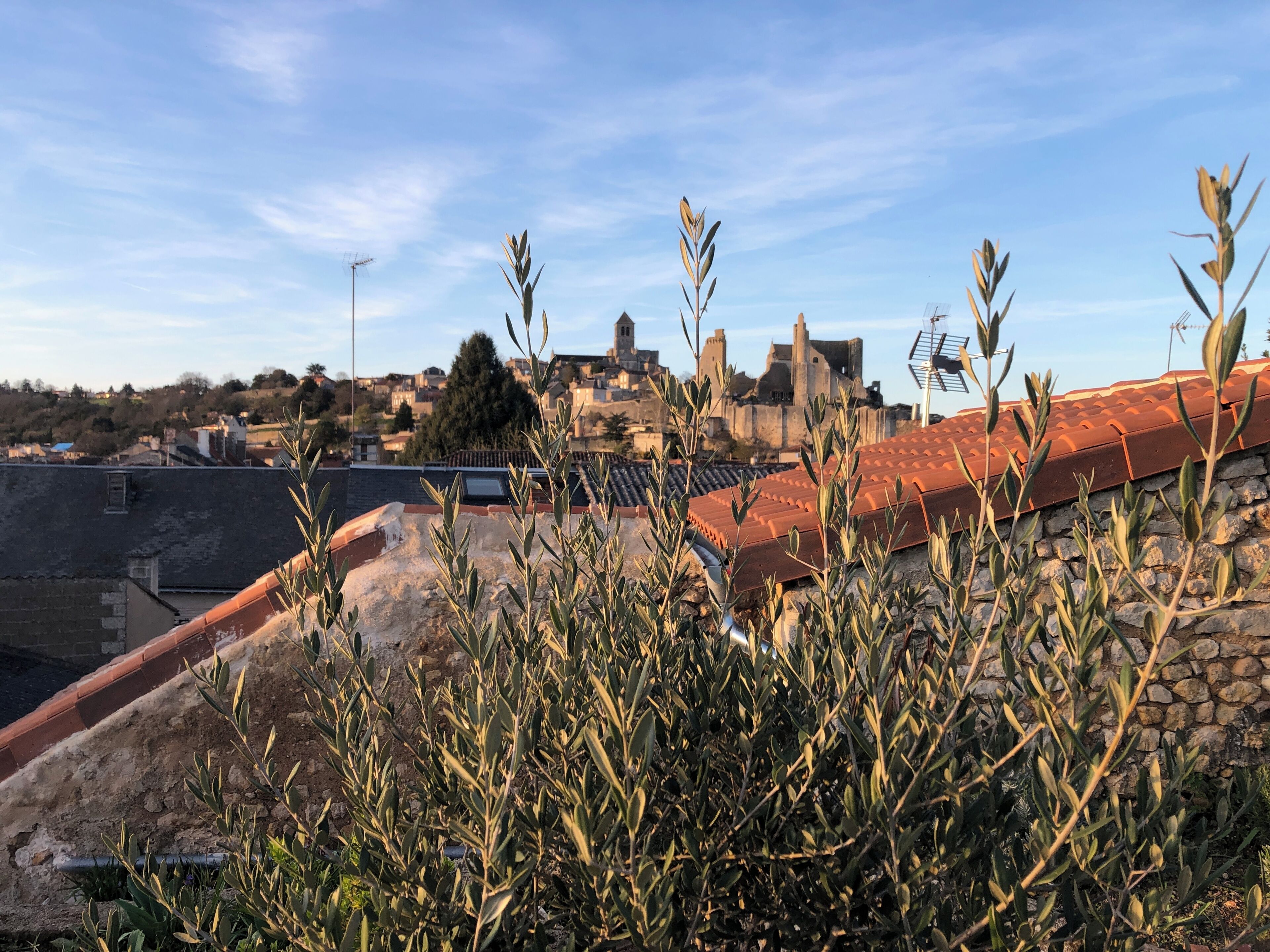 Panorama di una città con edifici, un muro in pietra e ulivi.