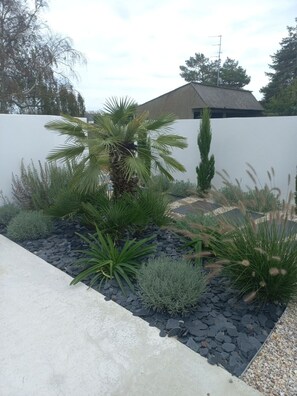A landscaped garden with a palm tree, various shrubs, and a concrete pathway.