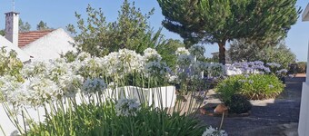 Maison de Campagne au Calme