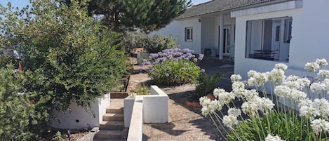 A residential property with a garden leading to a white house with a tiled roof.