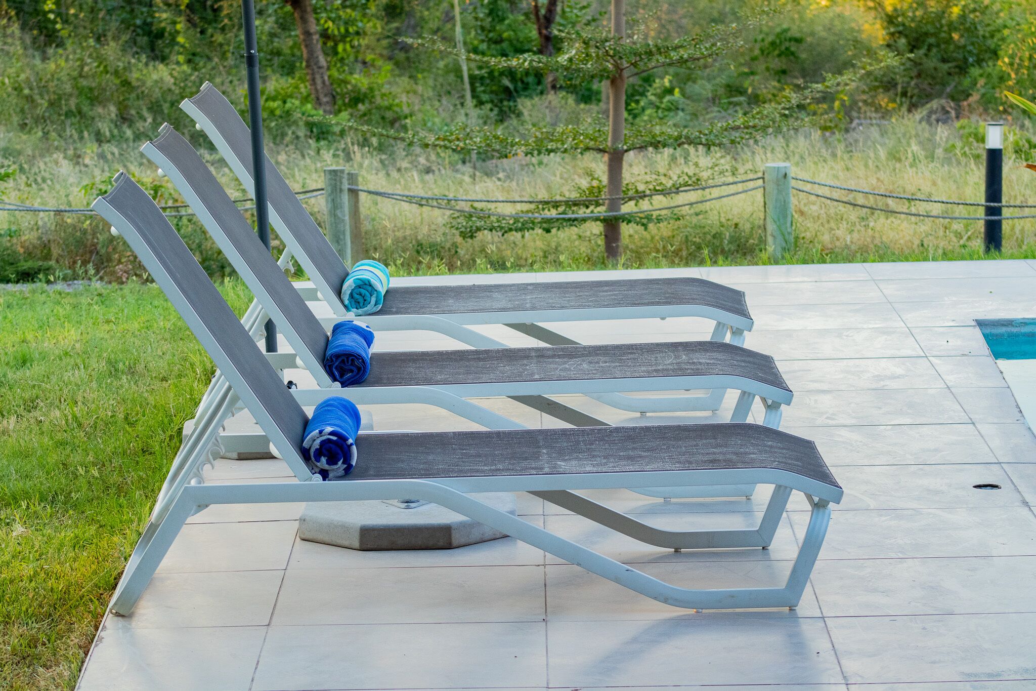 A row of outdoor lounge chairs with blue towels, a tiled patio, and a grassy area with trees in the background.