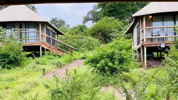 Deux cabanes en bois dotées de balcons, entourées d’une végétation luxuriante et accessibles par un sentier de terre.
