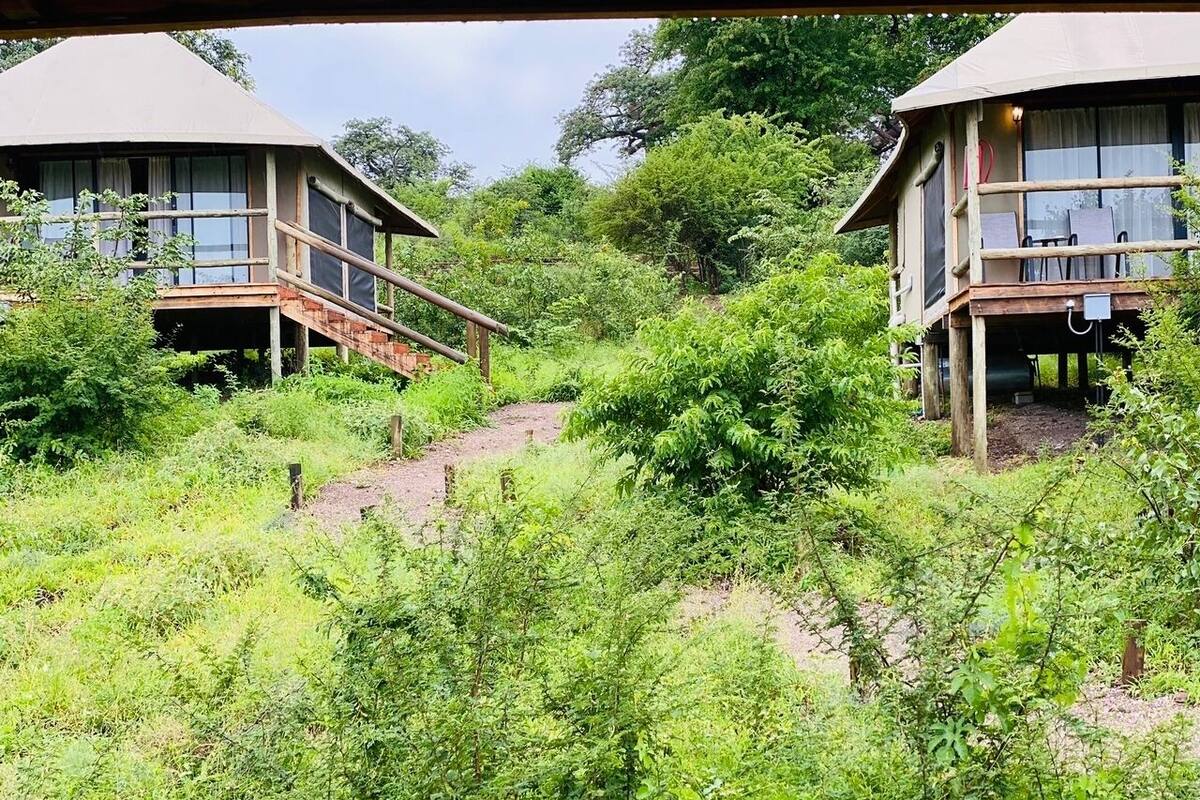 Deux cabanes en bois dotées de balcons, entourées d’une végétation luxuriante et accessibles par un sentier de terre.