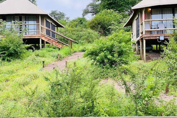 Sengetøy av topp kvalitet, dundyner og senger med Select Comfort-madrass