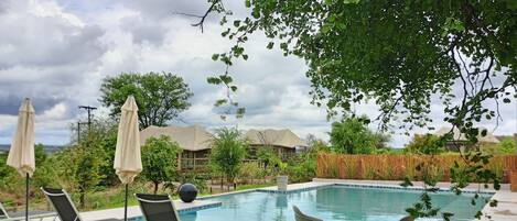 Ein Schwimmbecken mit Liegestühlen und Sonnenschirmen, umgeben von Grünpflanzen und mit Blick auf Häuser im Hintergrund.