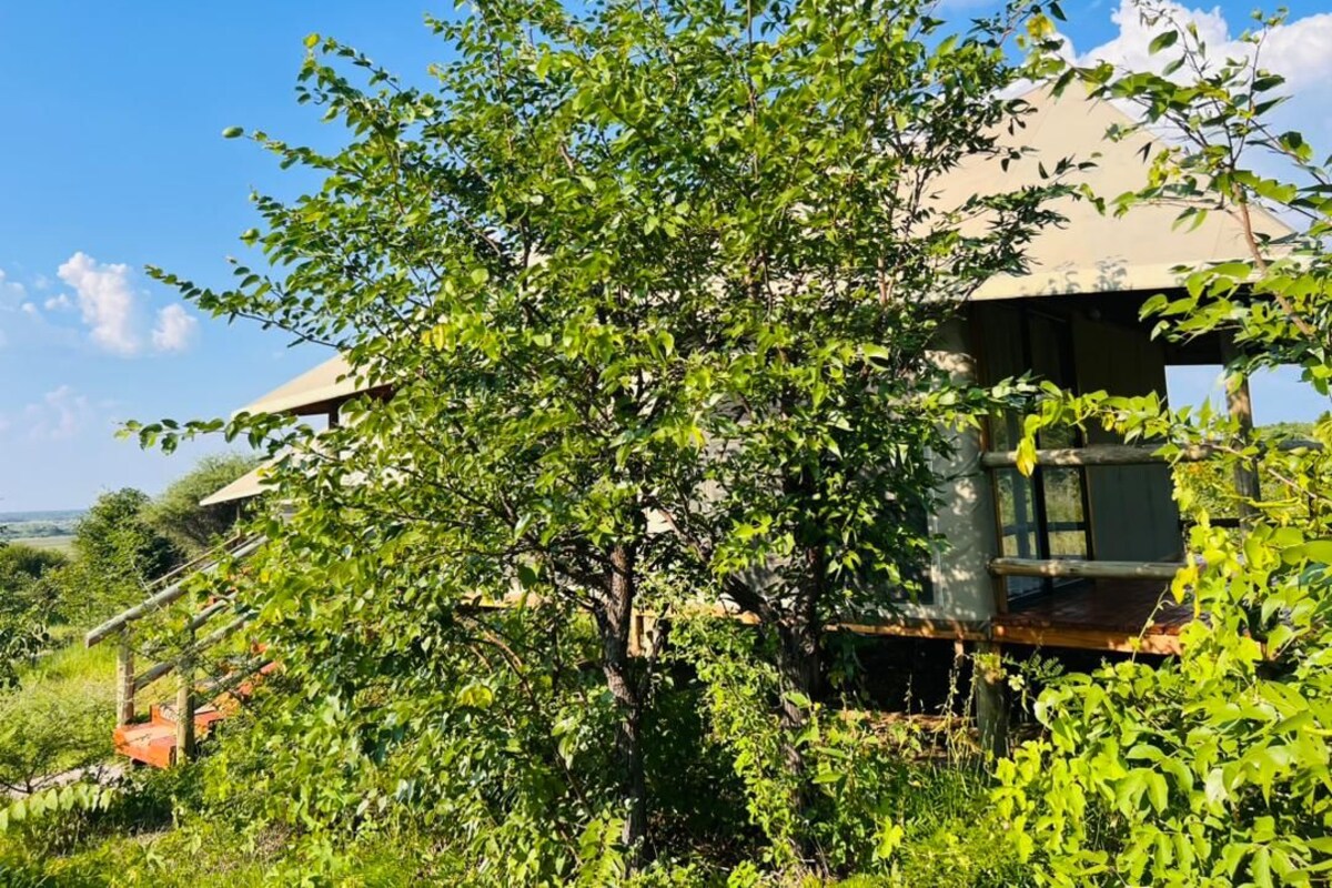 Ett hus med ett stort träd framför, en klarblå himmel och utsikt över landskapet.