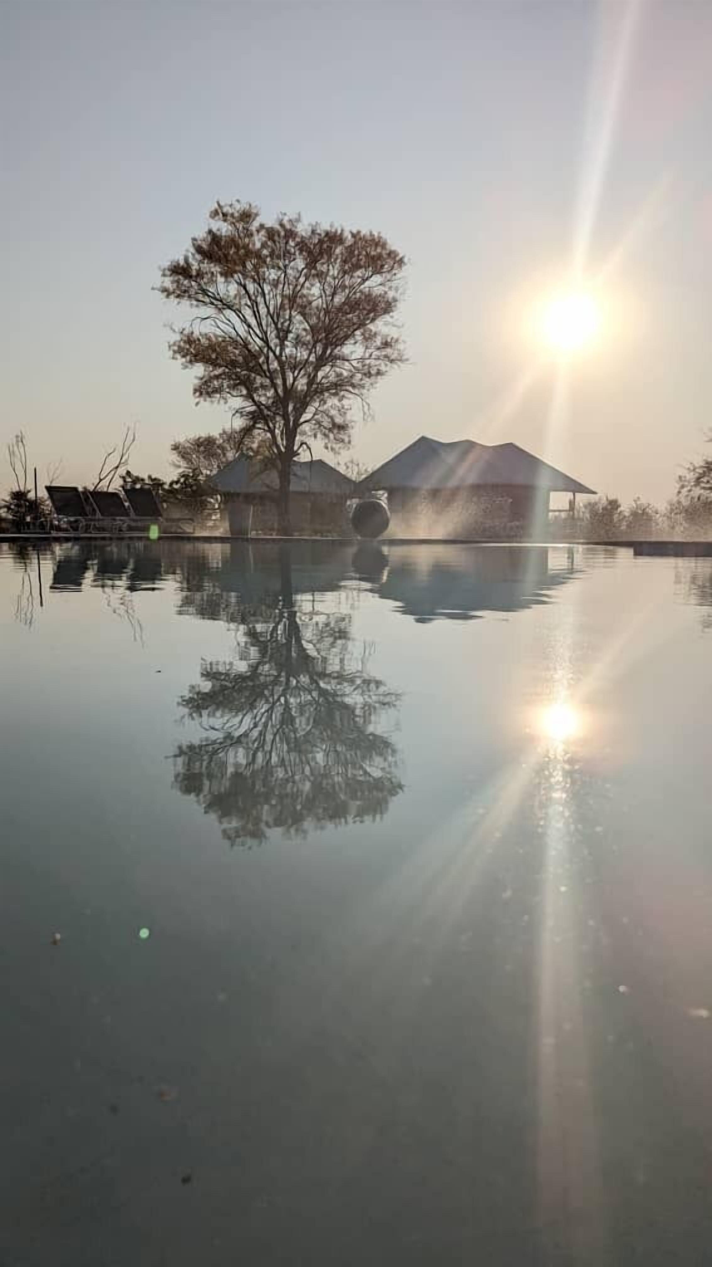 Outdoor pool, pool umbrellas, pool loungers