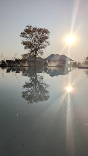 Outdoor pool, pool umbrellas, pool loungers - Xhabe Safari Lodge - Chobe (Ngoma)
