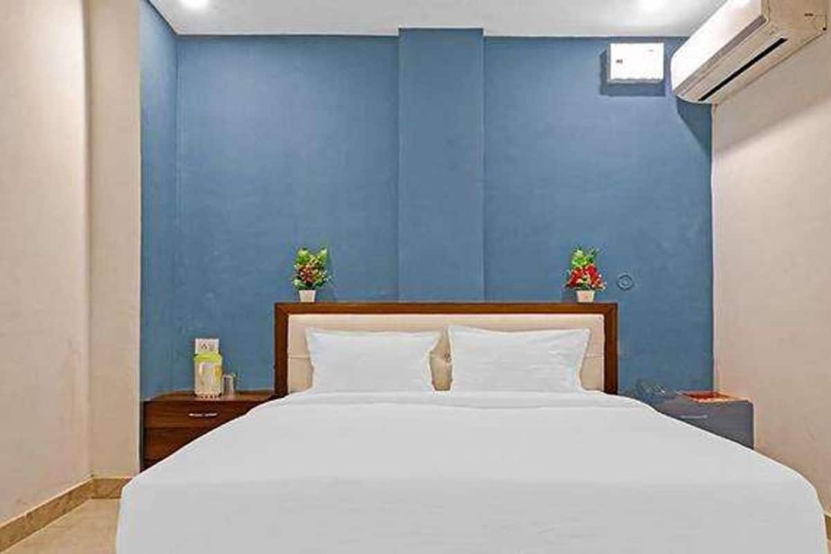 Habitación de hotel con una cama grande, una mesita de noche, aire acondicionado instalado en la pared y dos pequeñas macetas con plantas.