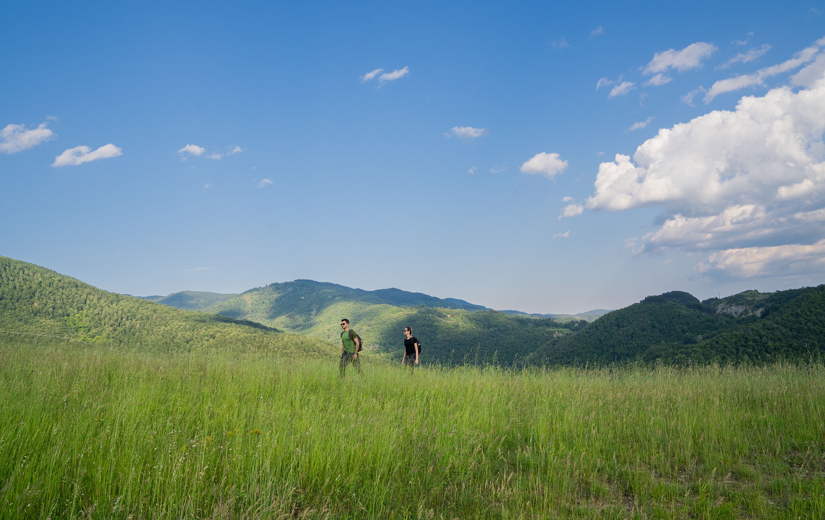 Un campo cubierto de césped con dos personas caminando.