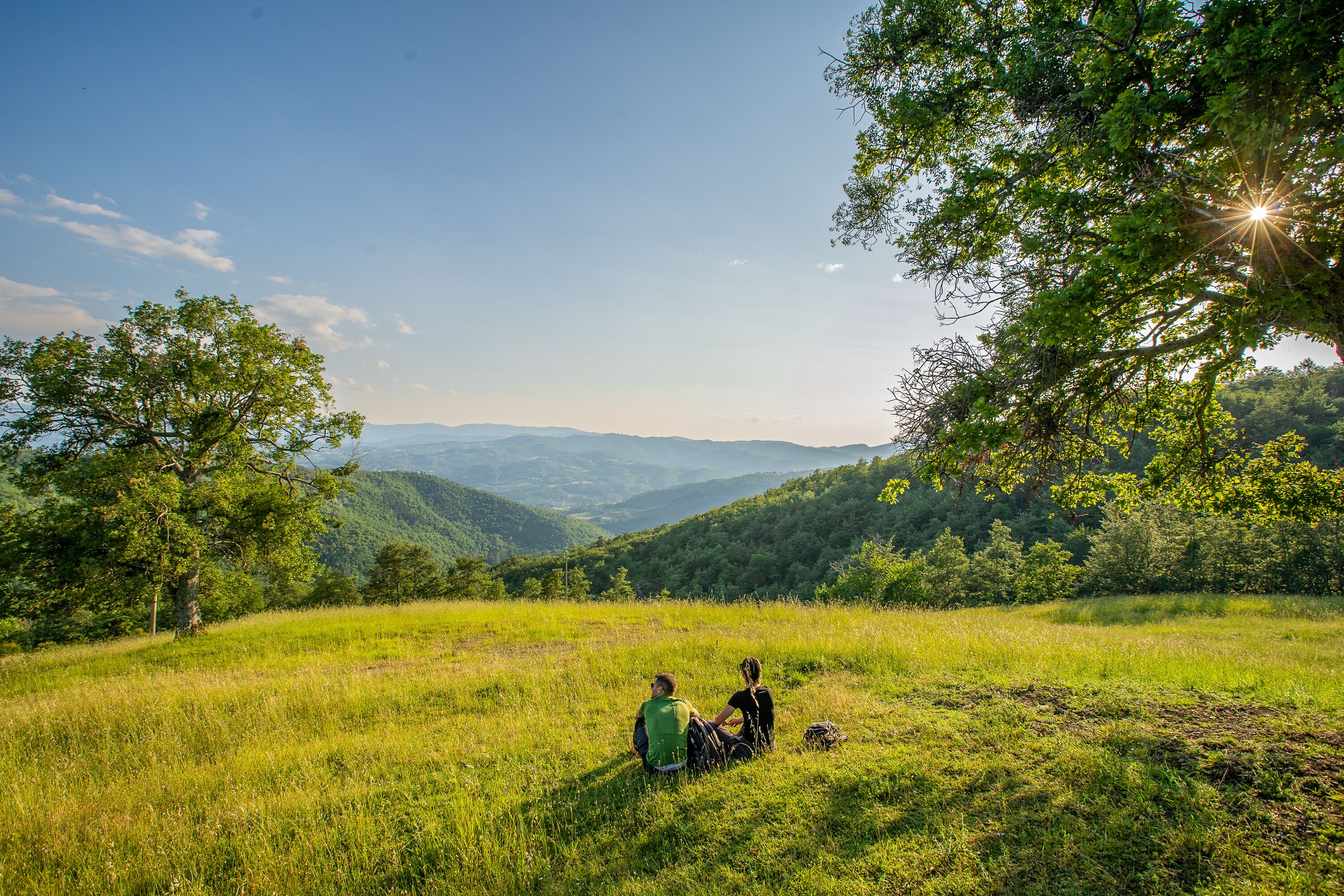 A grassy field with two people sitting under a tree, overlooking a valley with mountains in the distance.